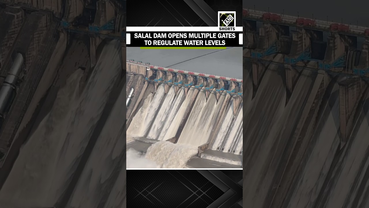 J&K: Salal Dam opens multiple gates to regulate water level following heavy rainfall