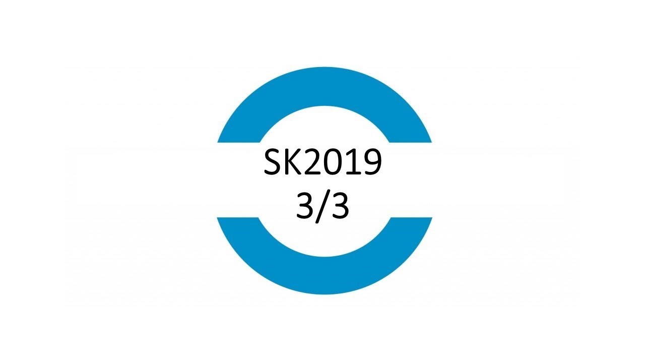 SK2019-Tagung in Frankfurt (3/3)