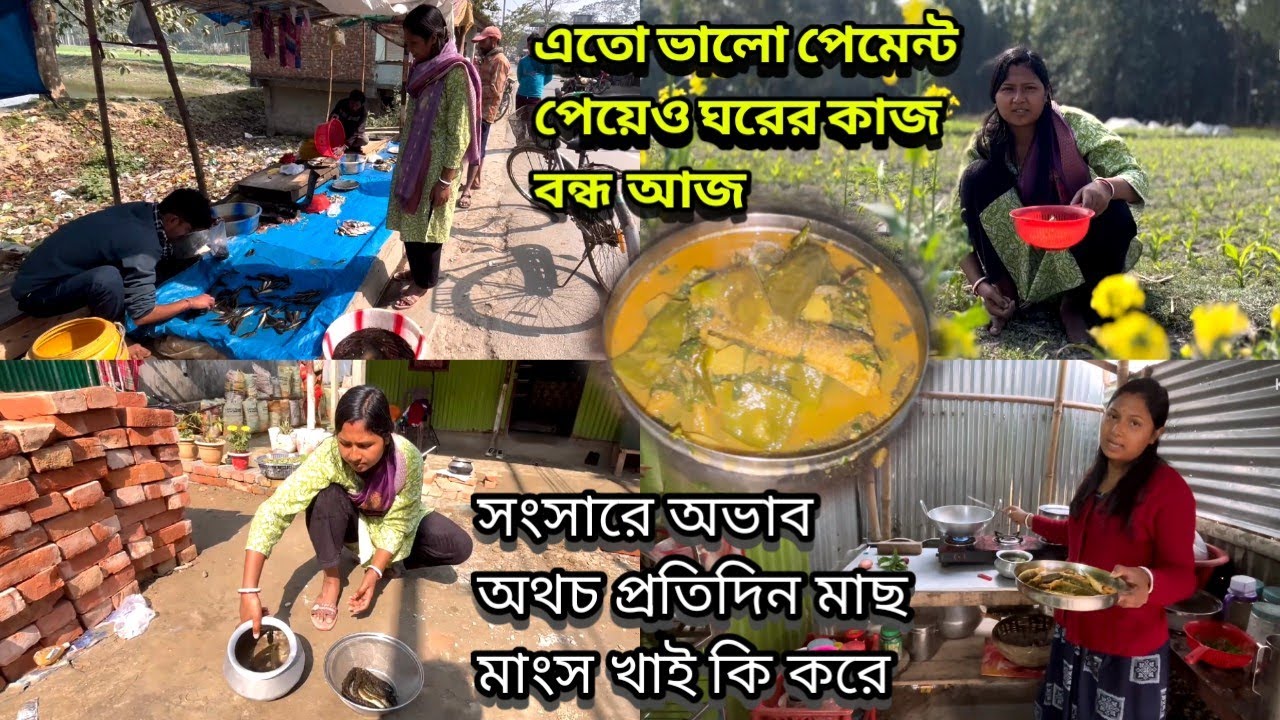এতো ভালো পেমেন্ট পেয়েও ঘরের কাজ বন্ধ, সংসারে অভাব অথচ প্রতিদিন মাছ মাংস খাই কি করে ? 