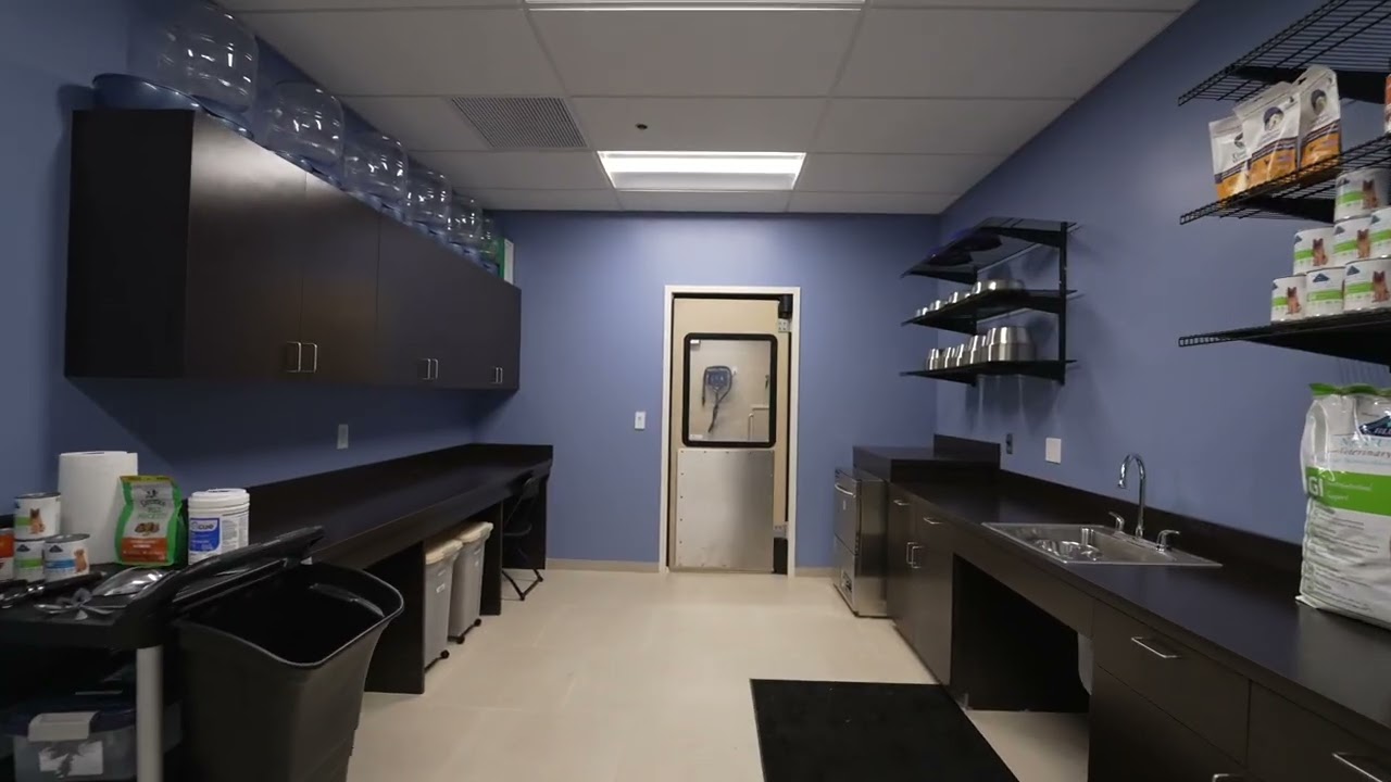 Take a Tour of Our New K9 Resorts in LA!