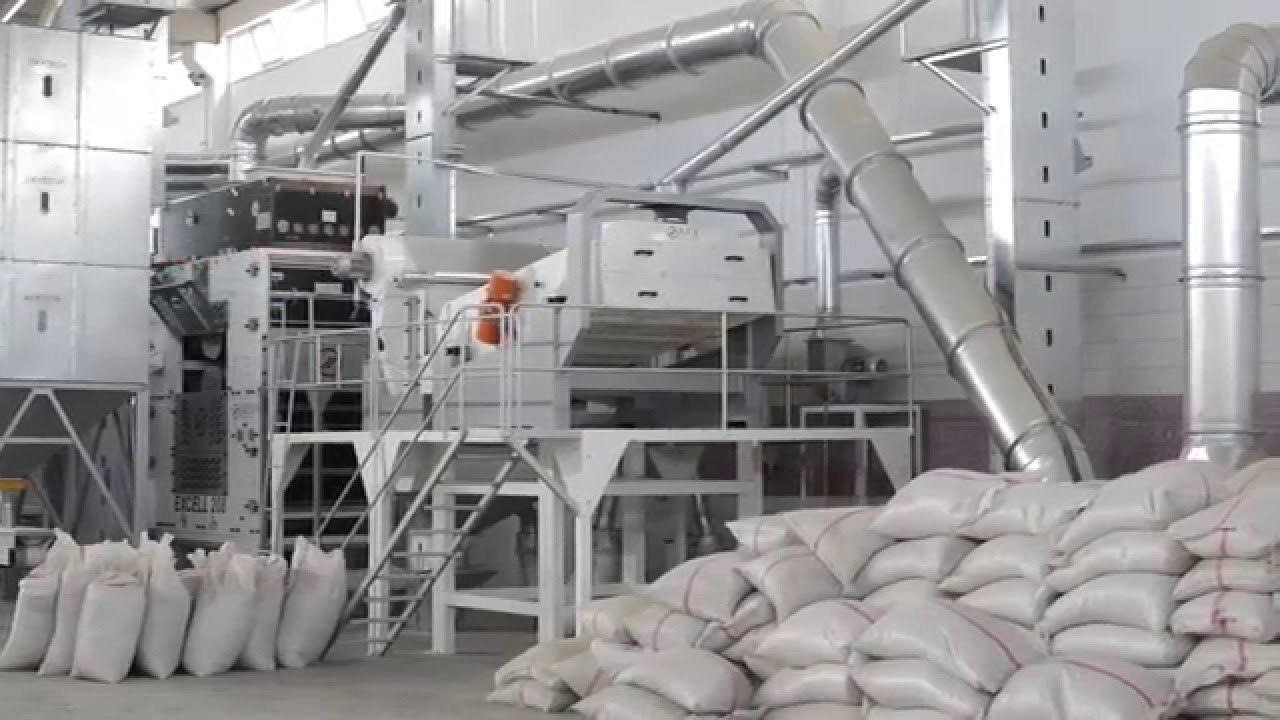 Sunflower Cleaning and Sorting Plant, Animation - AKY Technology