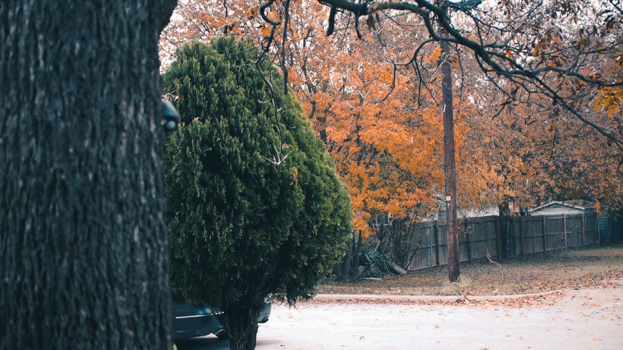 Neighborhood Autumn Ambience - Binaural Nature Sounds 🐦