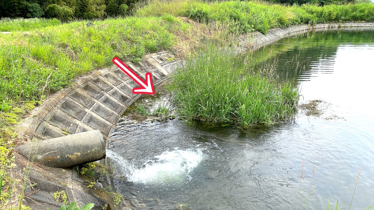 なんの変哲もない田舎の池をガサガサしてみたら…