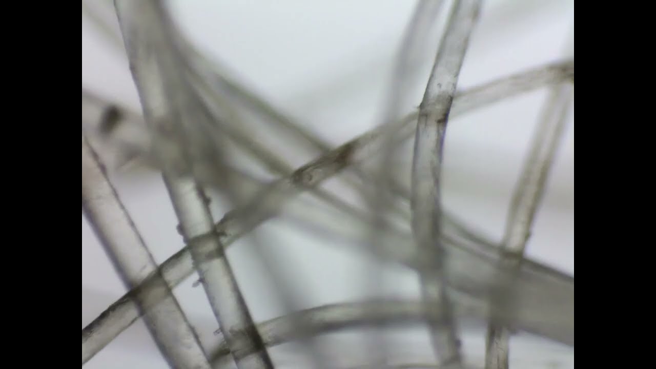 Uibo Mari - Mission Statement