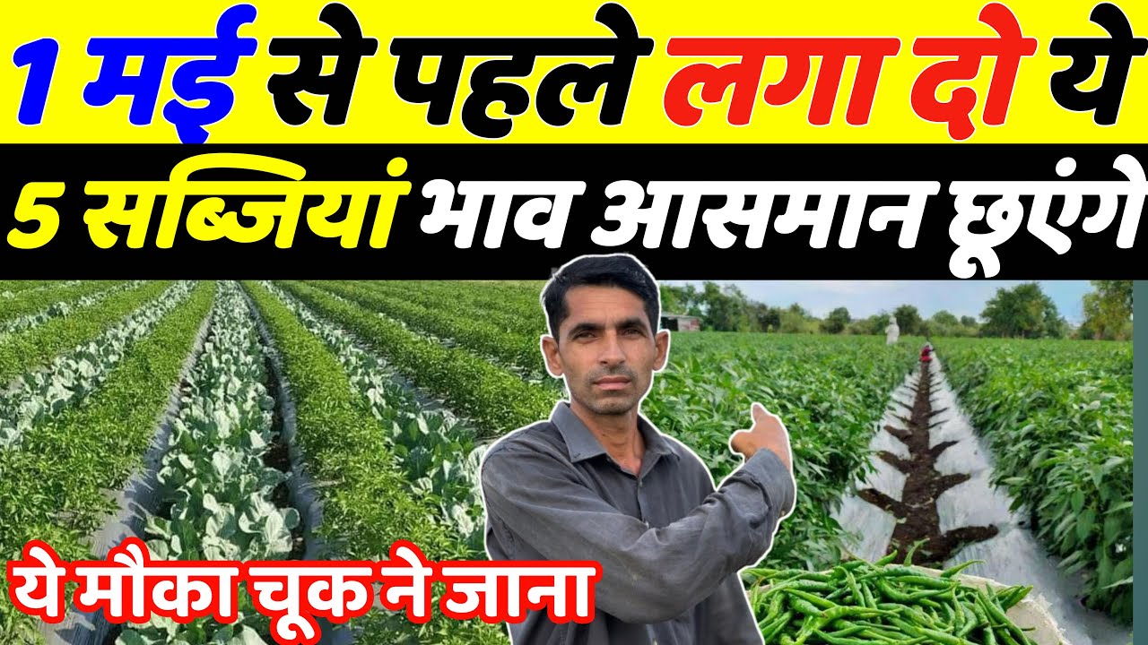 1 मई से पहले लगा दो ये 5 सब्जियाँ | April May Me Konsi Sabji Lagaye | April Me Konsi Sabji Lagaye