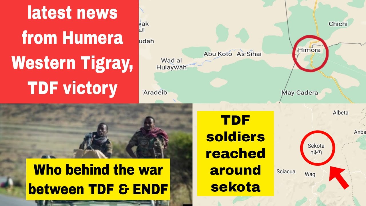 TDF | Sekota | Humera | Western Tigray