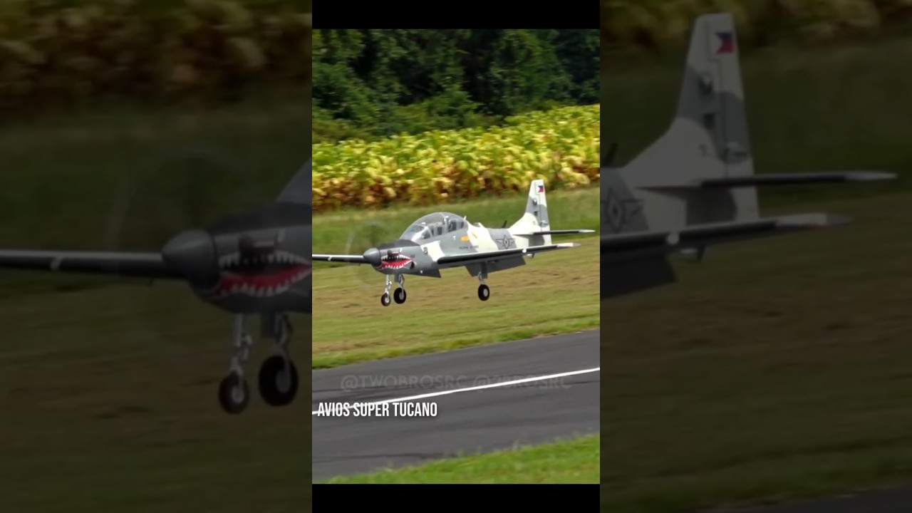 An Assortment of Landings 