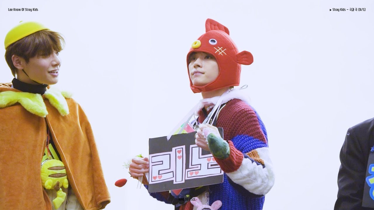 181117 스트레이 키즈 Stray Kids 고양 팬사인회 / '극과 극 (N/S)' (리노 LeeKnow focus)