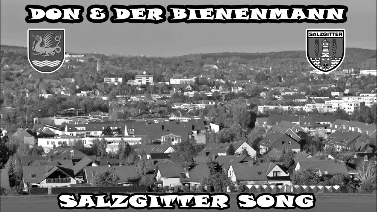 DON & DER BIENENMANN - SALZGITTER SONG