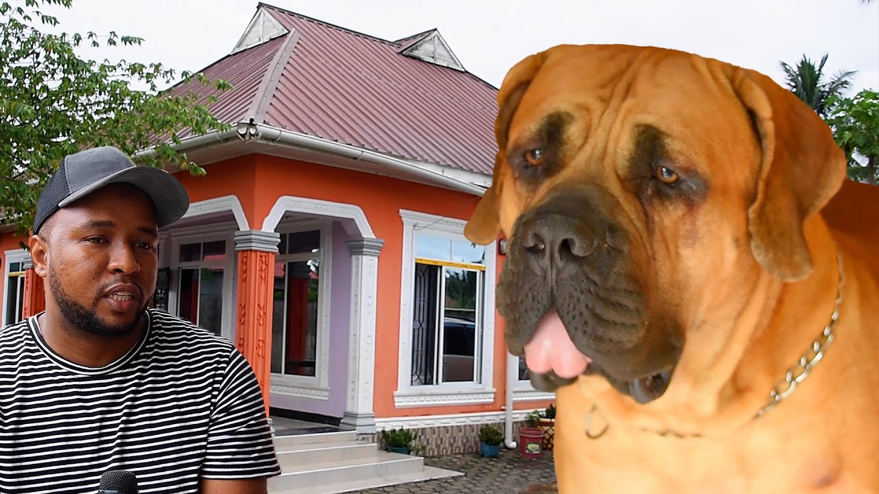 MSOMI WA DEGREE ALIYETAJIRIKA KWA KUFUGA MBWA HATARI, ANAO ZAIDI YA 300, MBWA HADI MILIONI 10