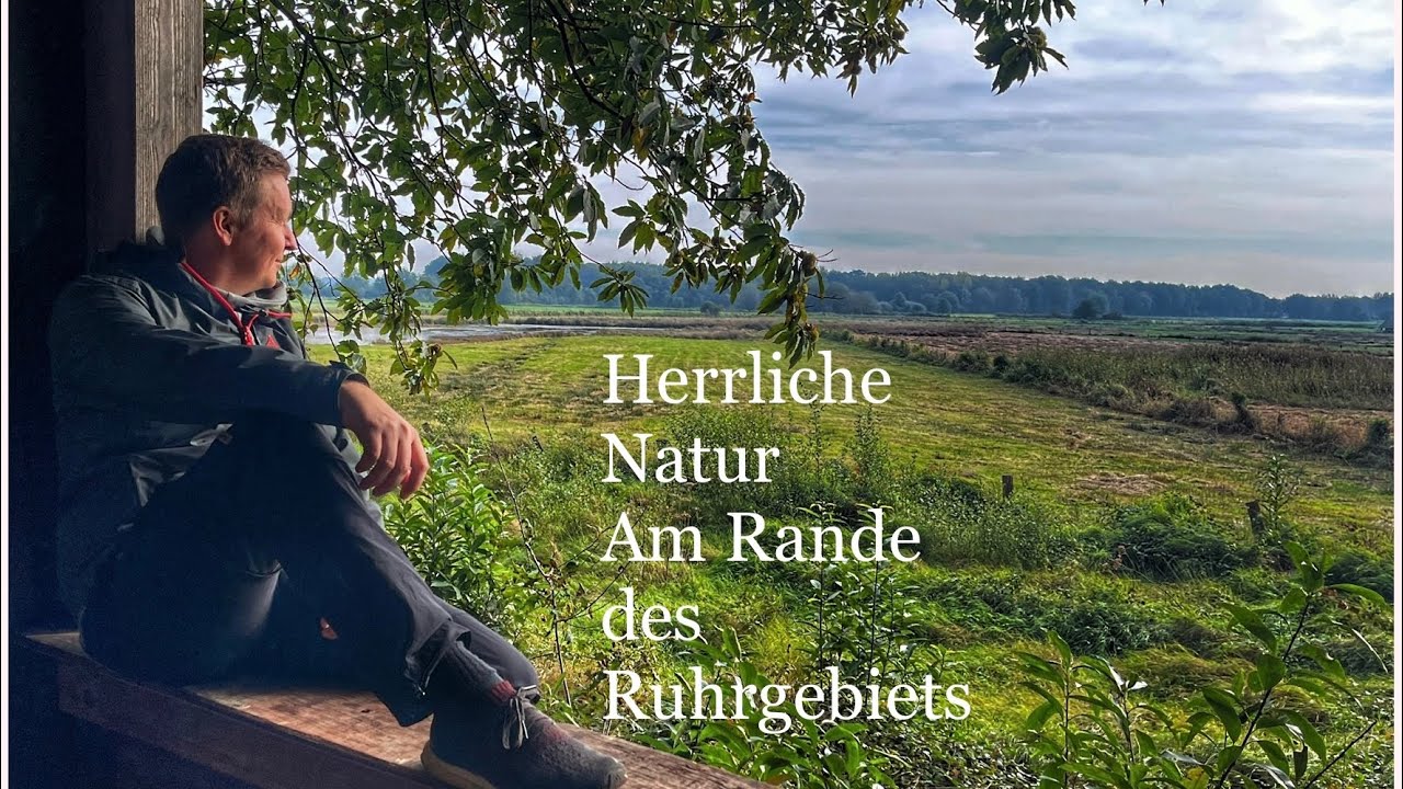 Die Dingdener Heide im Naturpark Hohe Mark