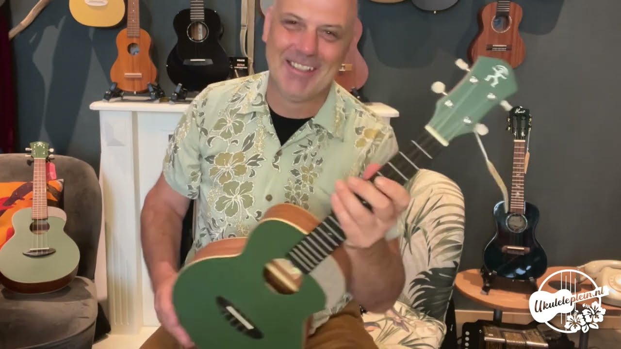 aNueNue tenor ukulele - UT10 Black Forest