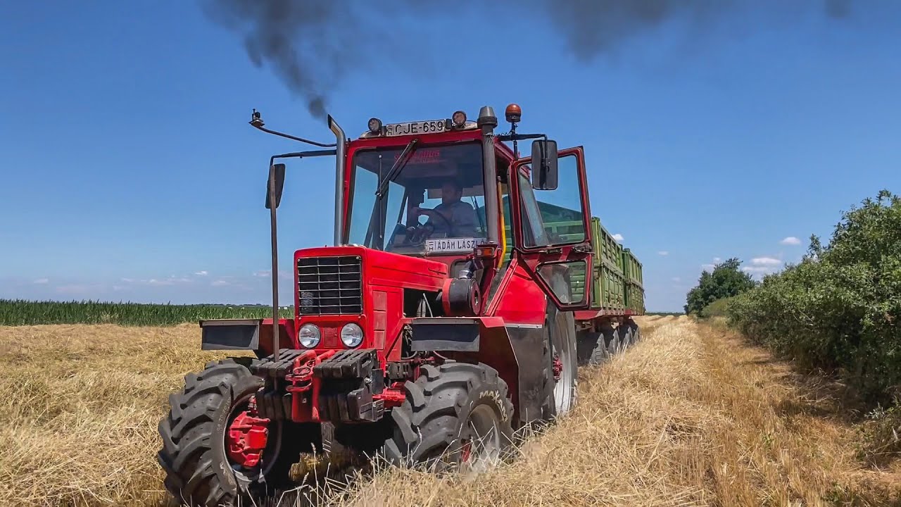 Búza aratás 2021 🌾 MTZ 82 Turbo + 2x MBP | Claas Dominator 80 | Akcióban a veteránok! 💪
