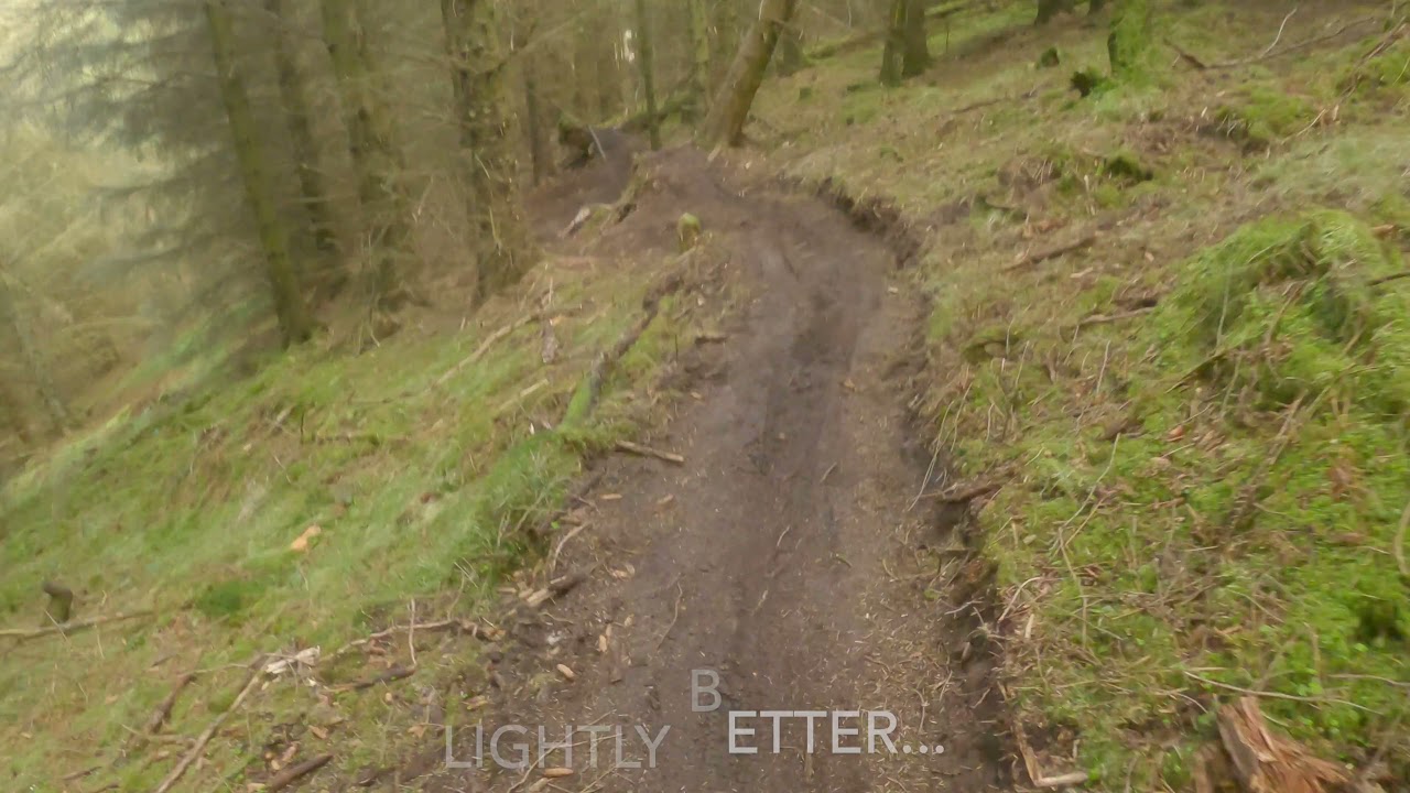 PITMEDDEN FOREST | 2ND VISIT | ROAD GAP | MTB