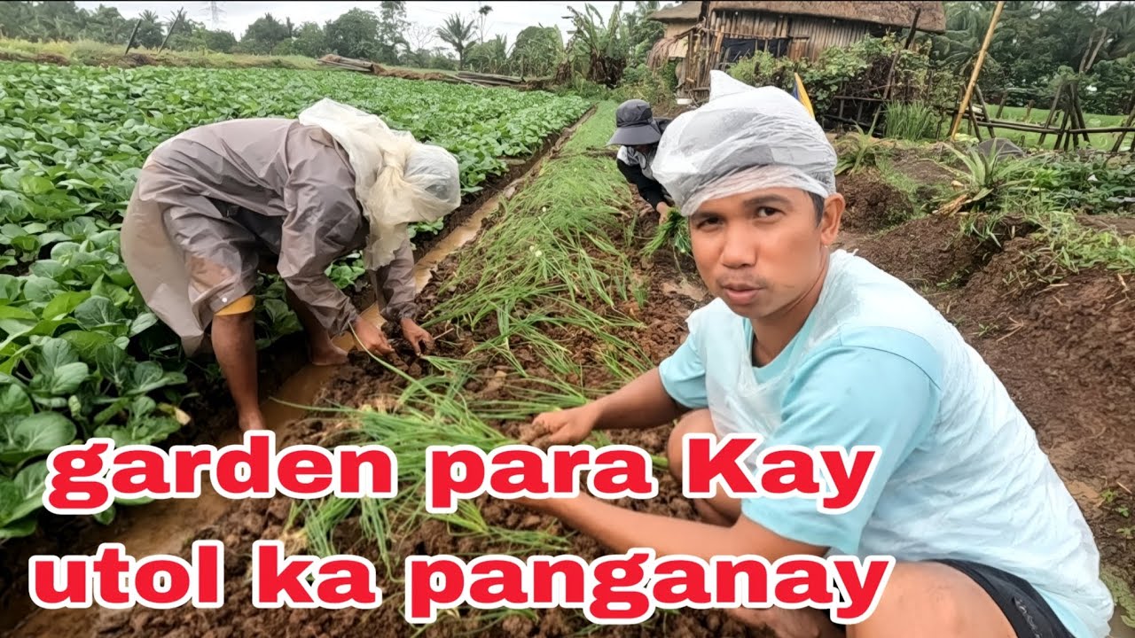 Garden para Kay utol Ka panganay