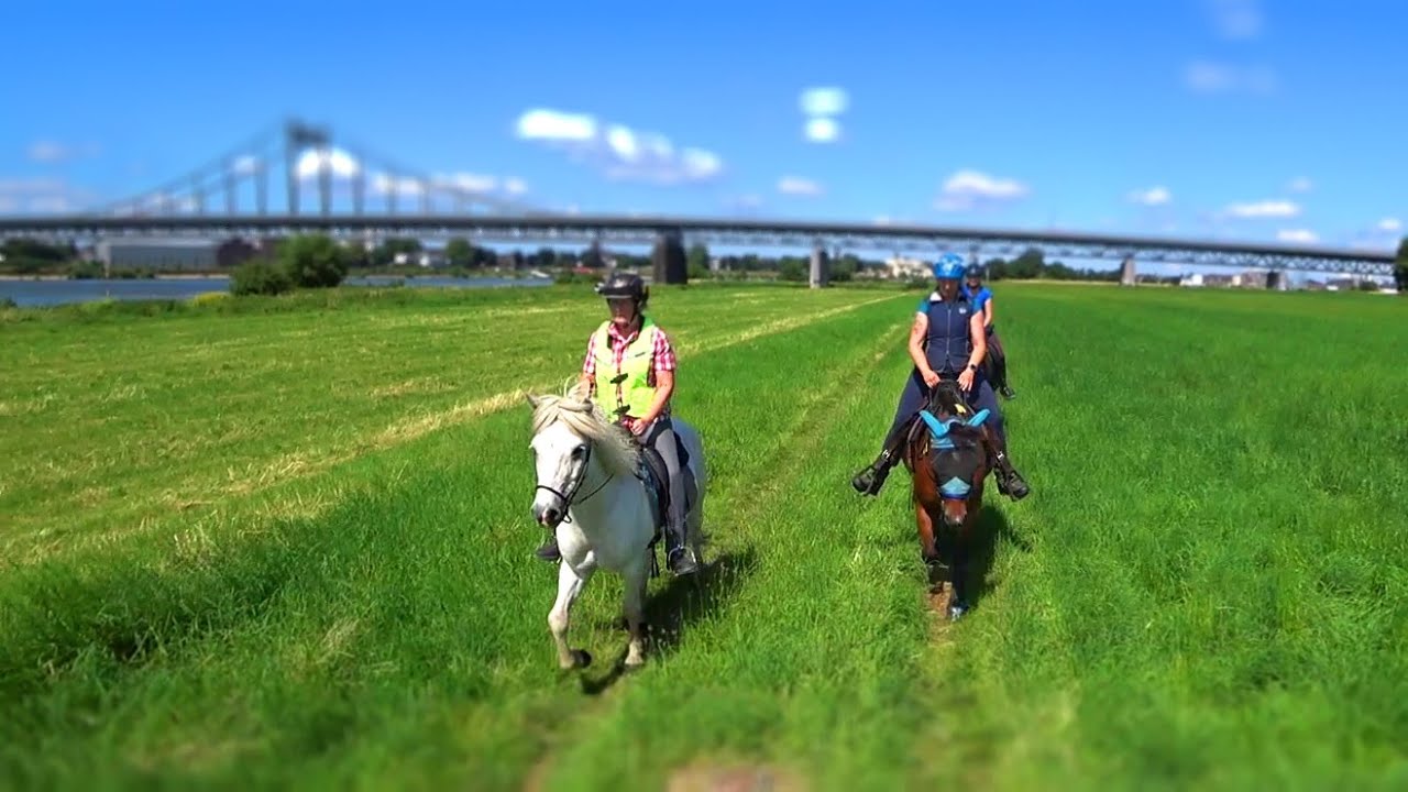 Ritt zum Rhein mit Lelek und Evita (Belong Together)