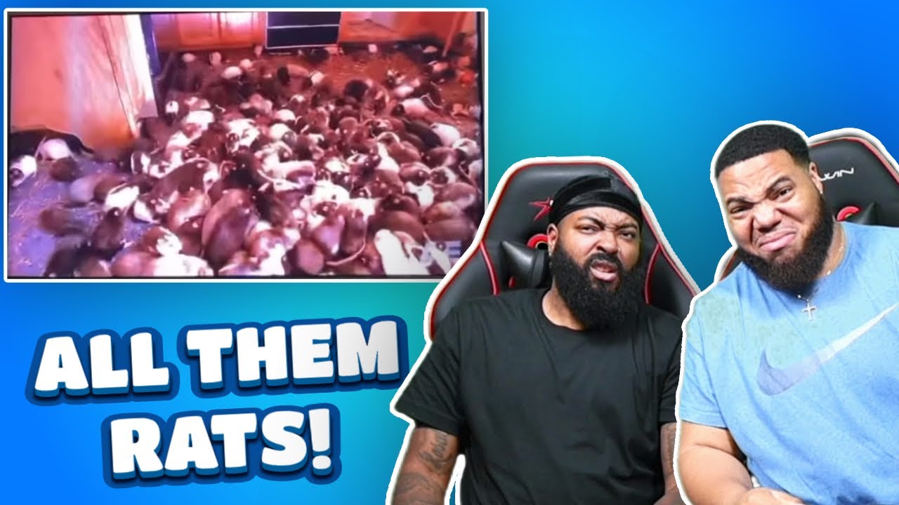 CLUTCH GONE ROGUE REACTS TO Justin Whitehead commentary #hoarders #justcomedy #funnyvideos