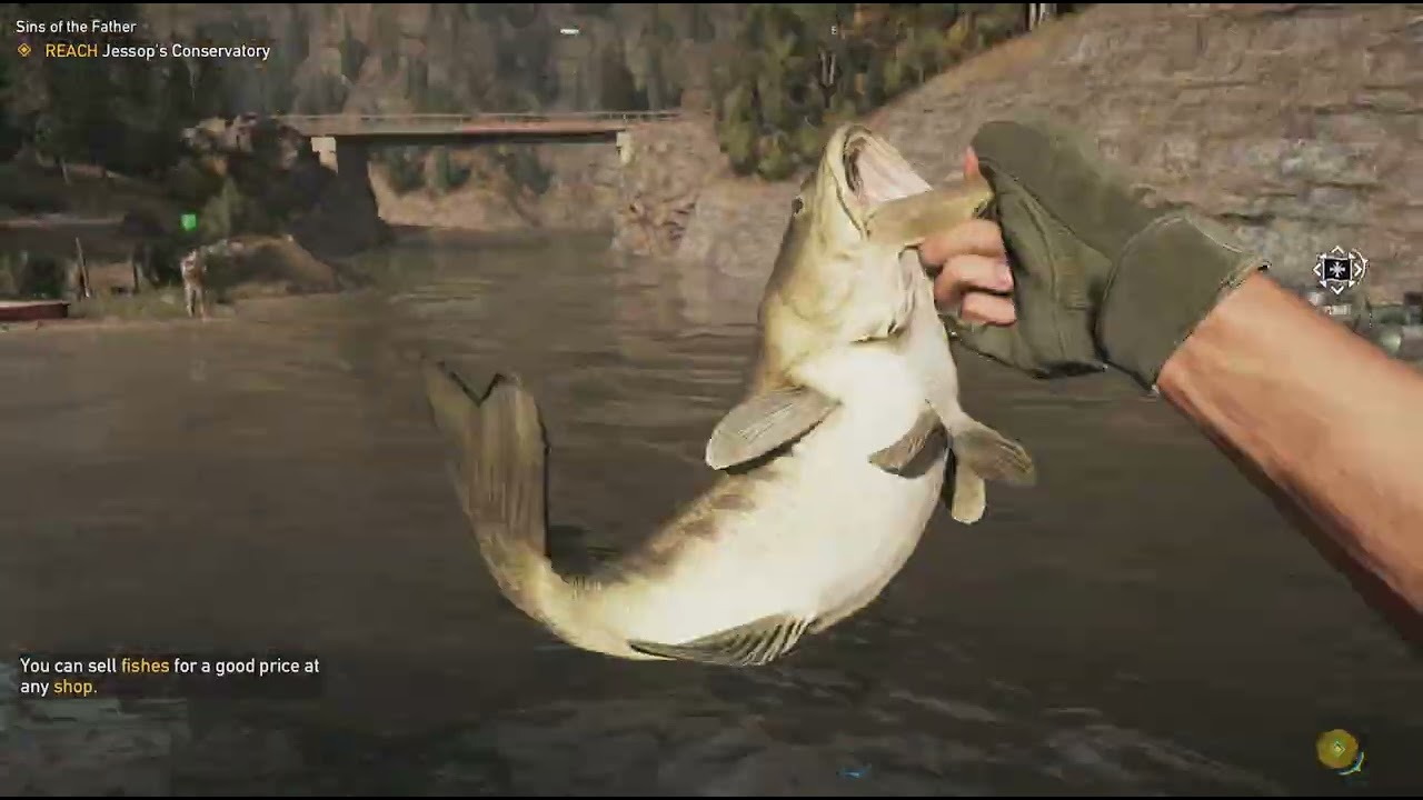 Far Cry 5_20260203140648