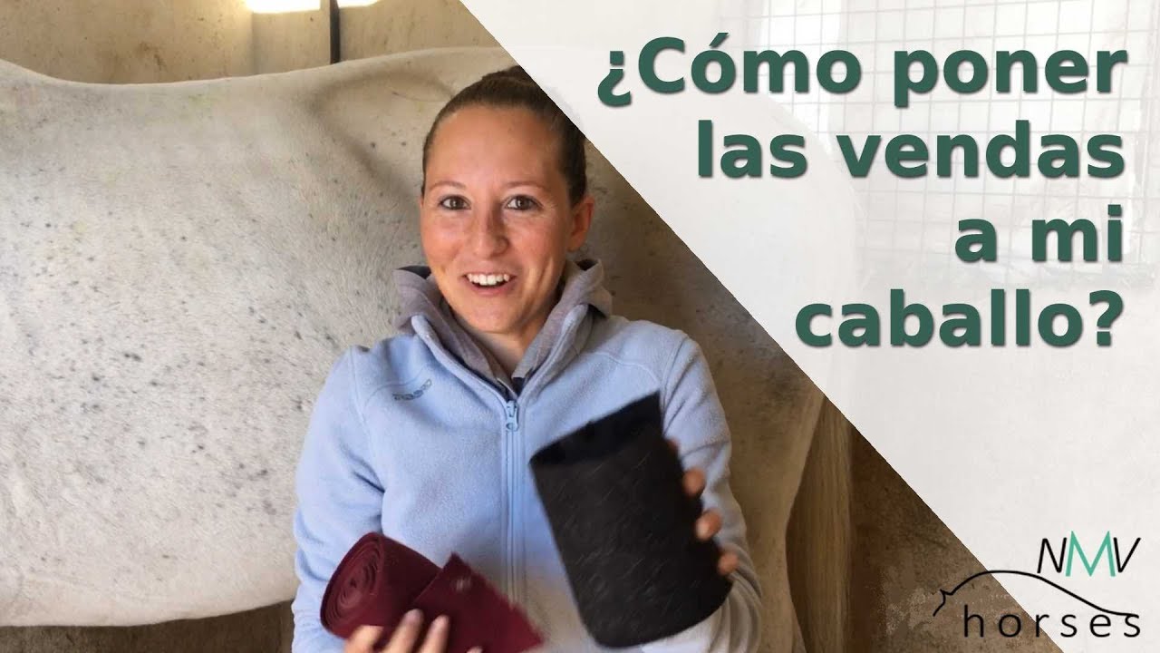Cómo poner vendas a tu caballo I PASO A PASO