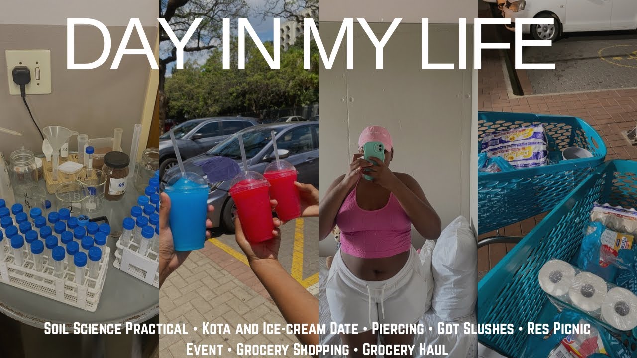 Spend the day with me: Practical, Kotas and ice-cream, Piercing, Got slushes, Res picnic, Grocery 