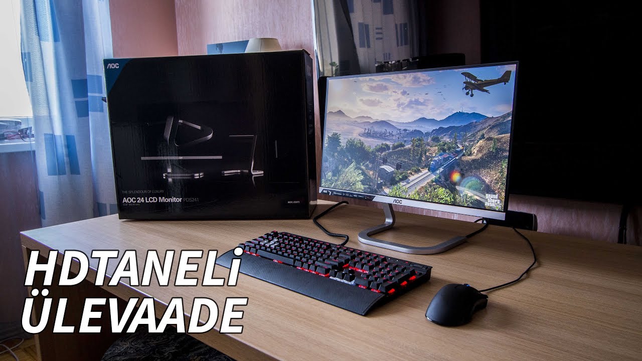 HDTaneli &Uuml;levaade 24