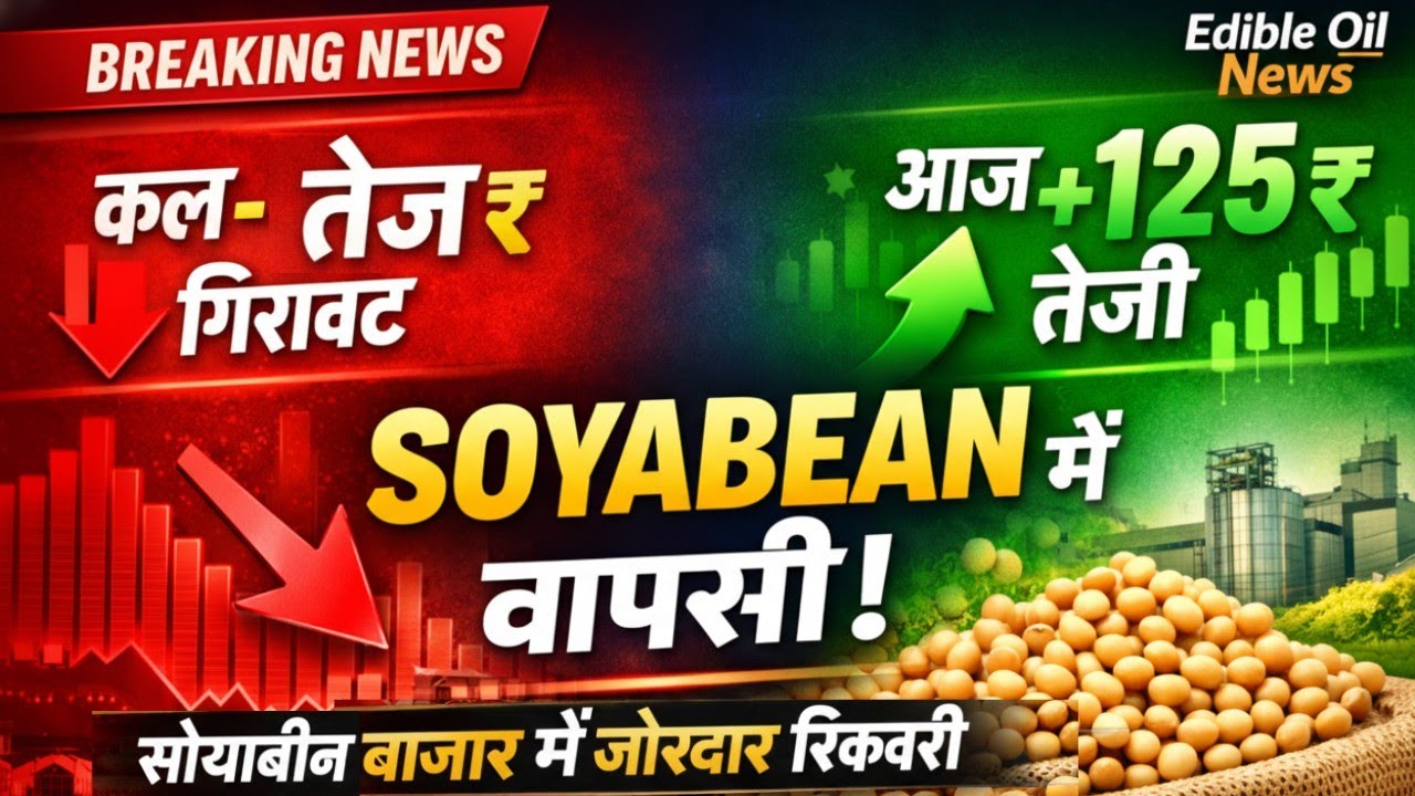 सोयाबीन में जोरदार वापसी! क्या अब आएगा बड़ा उछाल?