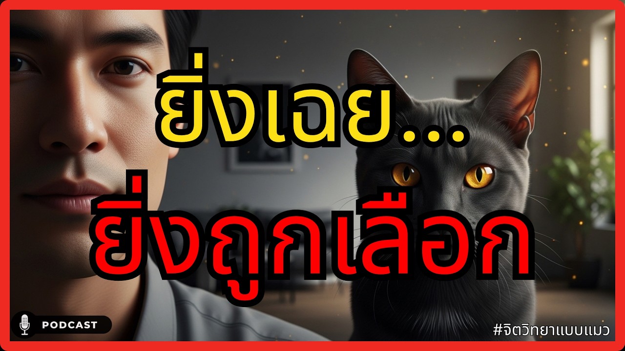 เลิกเป็น 'หมา' ที่คอยเอาใจ แล้วหันมาใช้ 'จิตวิทยาแมว' เปลี่ยนโลกให้หมุนรอบตัวคุณ