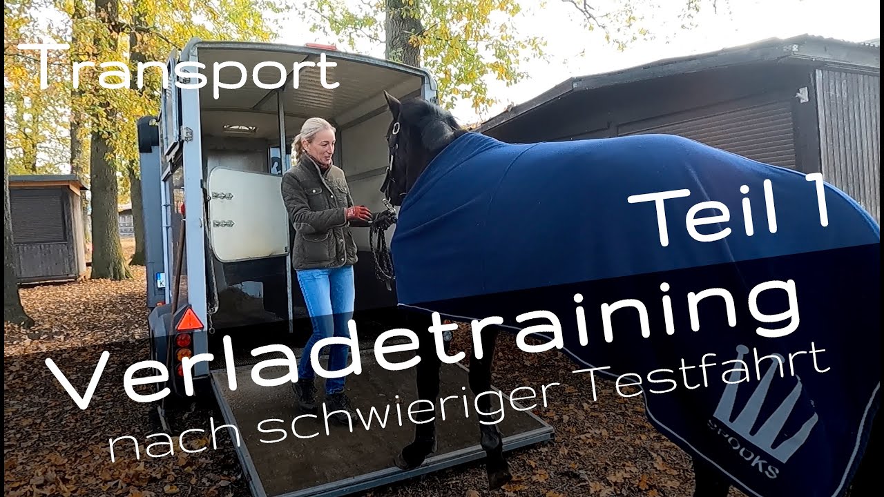Hat Alice die letzte Fahrt in schlechter Erinnerung? - Verladetraining Teil 1