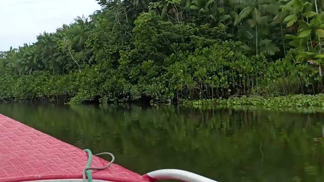 Rio canaticu - Curralinho