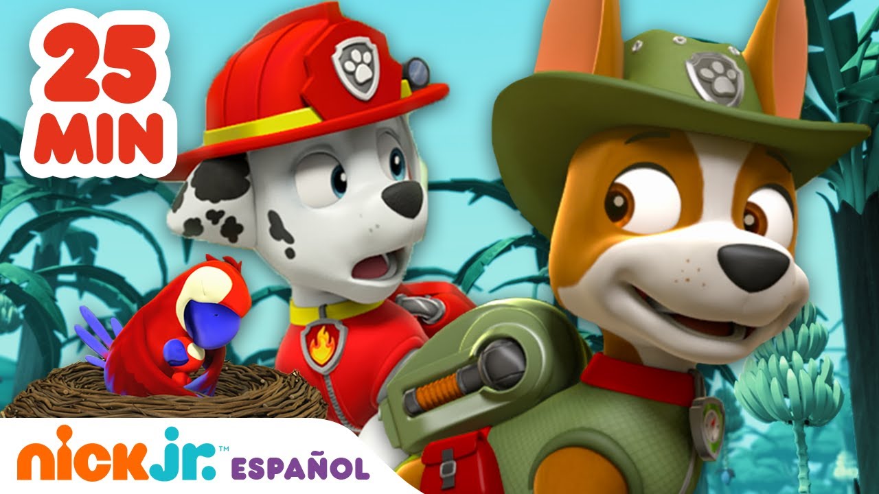 ¡Rescates de la Patrulla de Cachorros en la selva durante 25 minutos! | Nick Jr. en Español