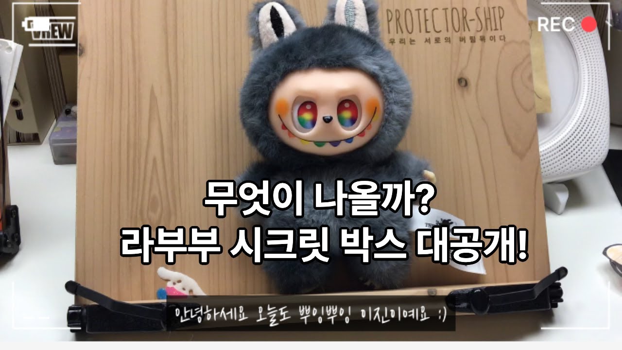 뿌잉뿌잉3편_라부부 시크릿박스 언박싱!!!