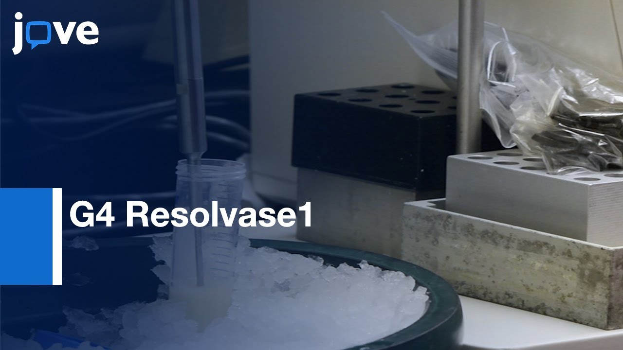 G-quadruplex DNA-affinity for Purification of G4 Resolvase1 | Protocol Preview