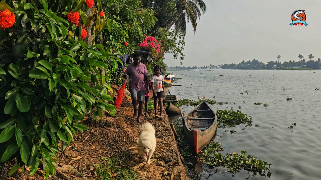 പണ്ട് അമ്മമാർ അരി ഇട്ടിട്ട് പോയി കറിക്കു മീൻ പിടിക്കുമായിരുന്നു |ആ ഉപകരണം ഉണ്ടാക്കി മീൻ പിടിച്ചു 