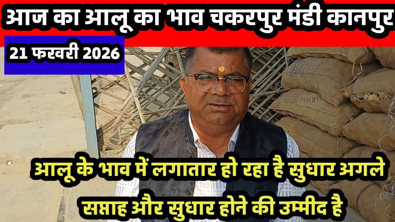 आज का आलू का भाव चकरपुर मंडी कानपुर का 21 फरवरी 2026