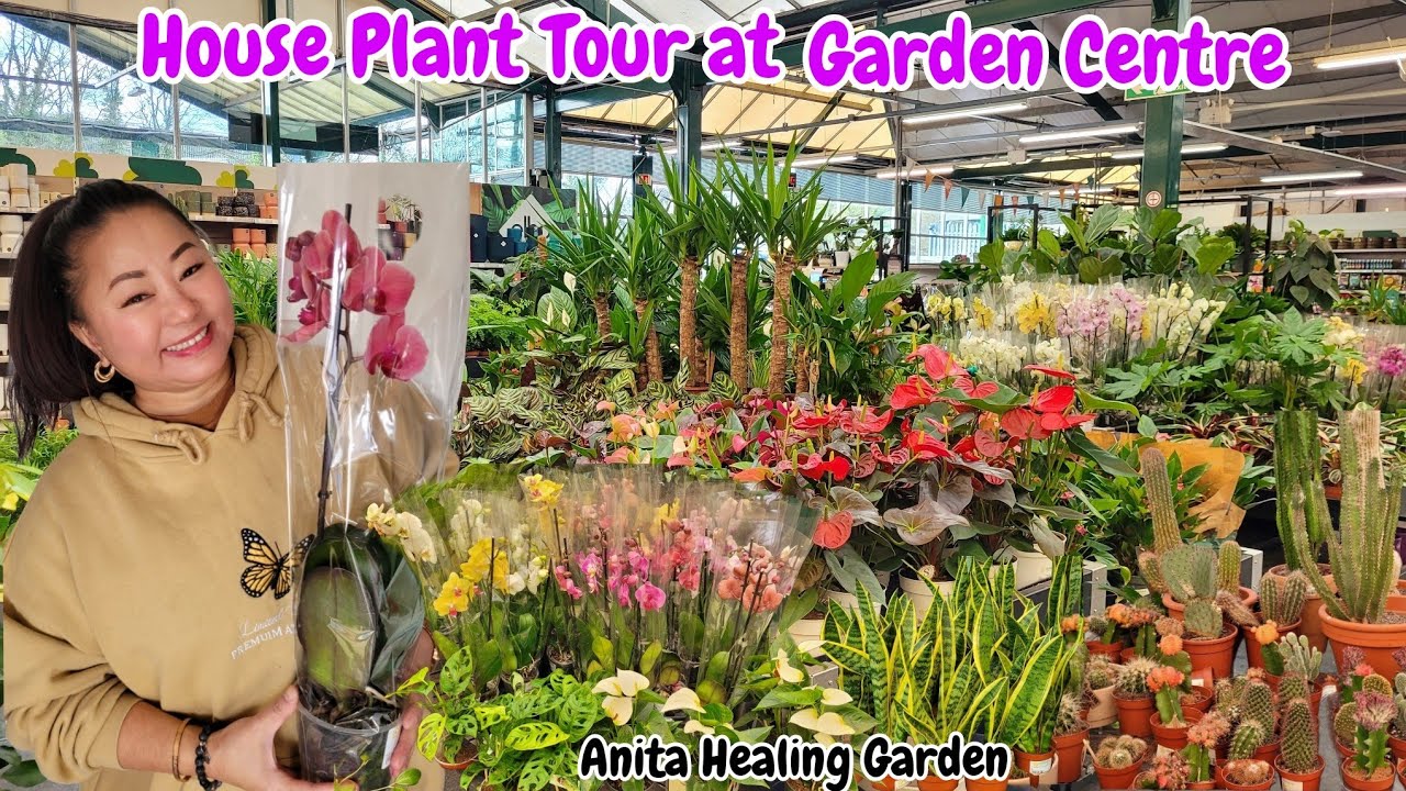 House Plant किन्ने सोचमा हुनुहुन्छ ?🍀यो Garden Centre को indoor plant हरु हेर्नआउनुहोस्