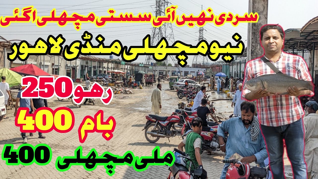 New Fish Market Lahore |Lahore Biggest Fish Market Lahore|Wholesale Fish Market Lahore| Lahori Life
