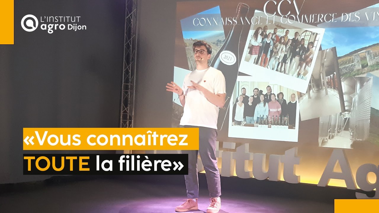 MD180 | CCV : Connaissance & commerce des vins