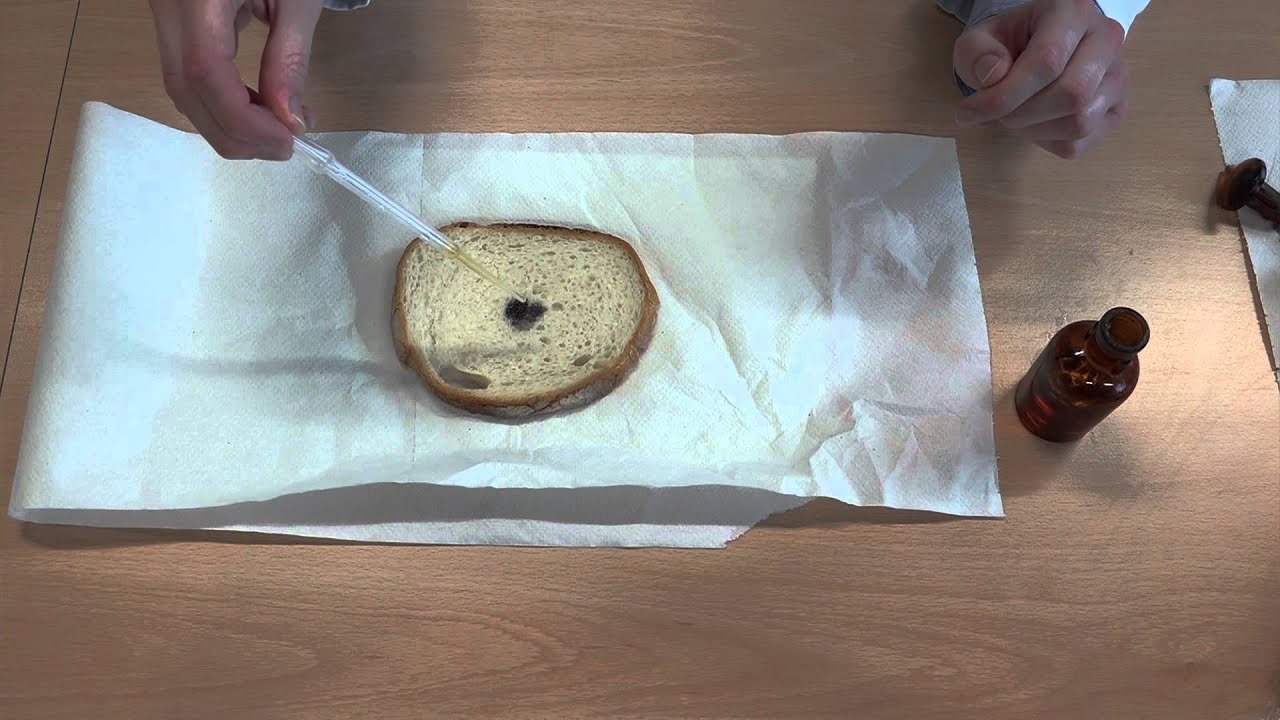 Mise en &eacute;vidence de l'amidon