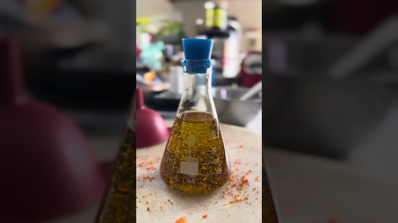Avocado seed with extra olive oil