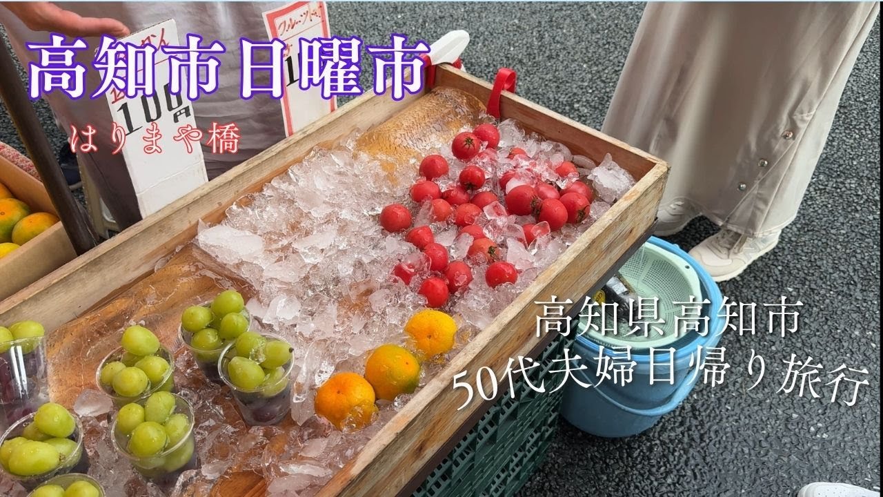 【50代夫婦】高知日帰り旅行（前編）かわの駅おち/高知市日曜市で食べ歩き/はりまや橋