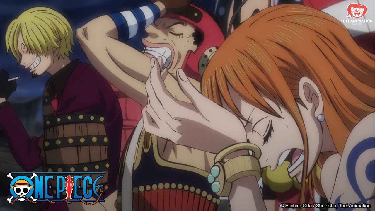 Banchetto e brindisi rimandati | One Piece