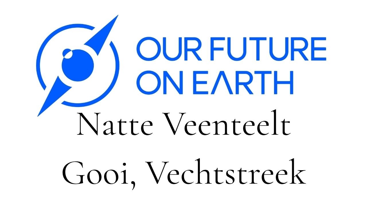 Natte veenteelt in Amstel, Gooi en Vechtstreek