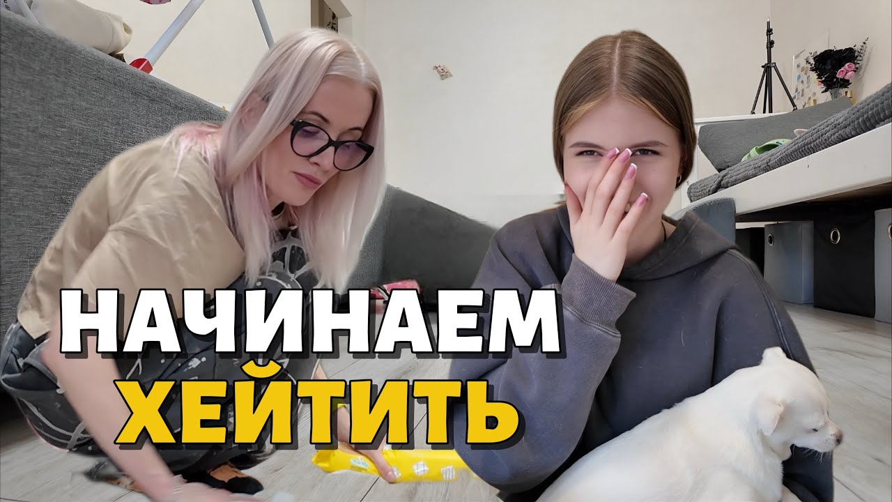 В школу на кофе, клещи у собак и  уборка полов 