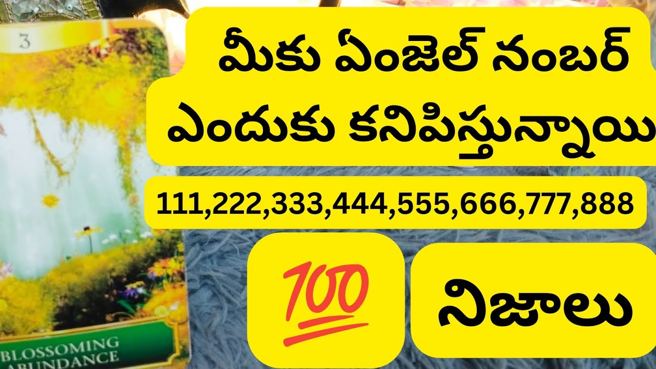 ఏంజెల్ నంబర్ మీకు ఎందుకు కనిపిస్తున్నాయి😳💯6300509679 personal reading number