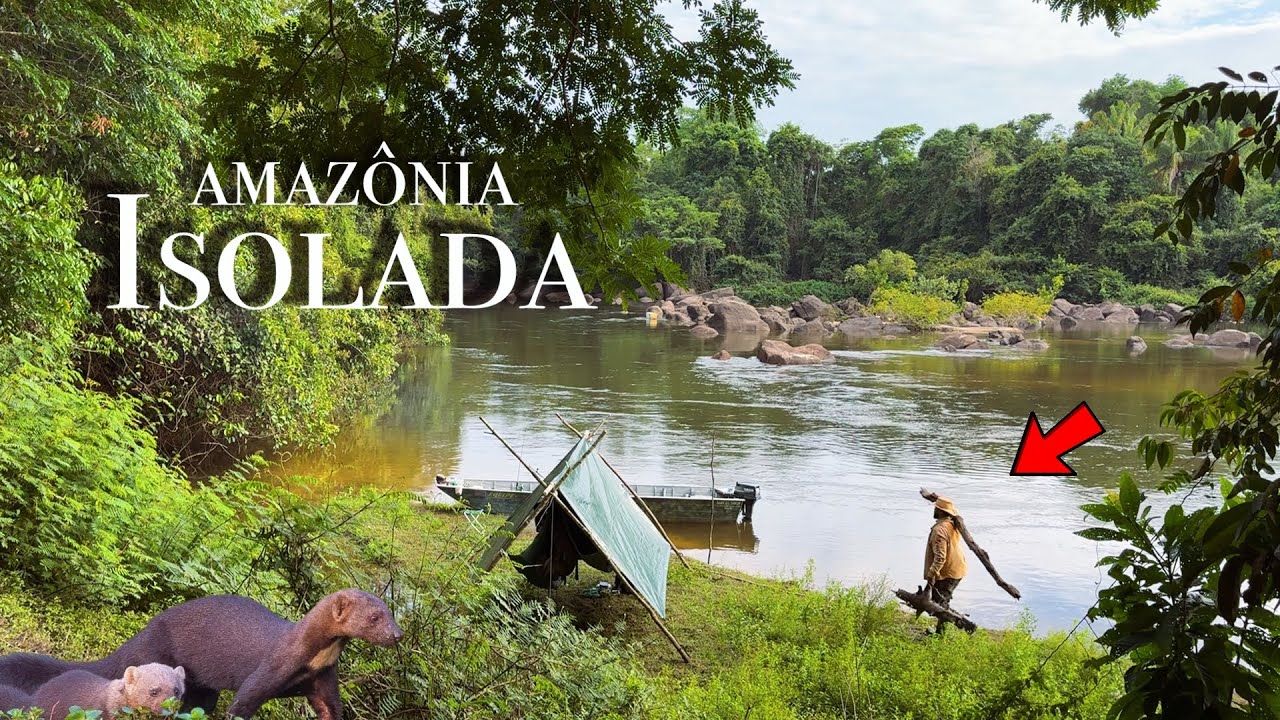Aventura SELVAGEM em meio a FLORESTA Amazônica os PEIXES estavam ativos e os ANIMAIS deram um SHOW 