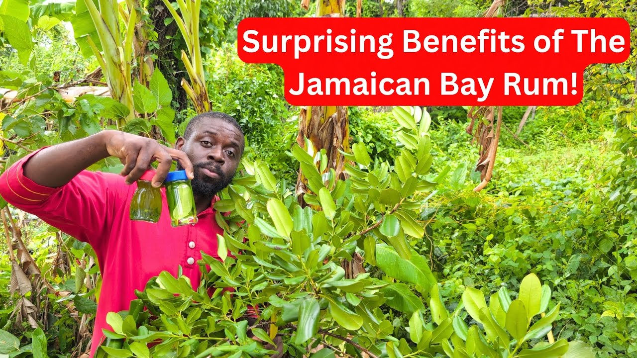 Jak przygotować rum Jamaican Bay w tradycyjny spos&oacute;b | Na b&oacute;l, gorączkę i przeziębienie 🌿🇯🇲