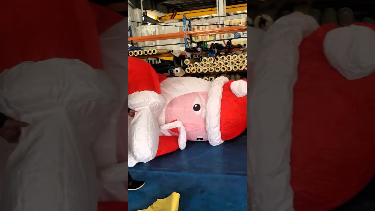 Outdoor Christmas Santa