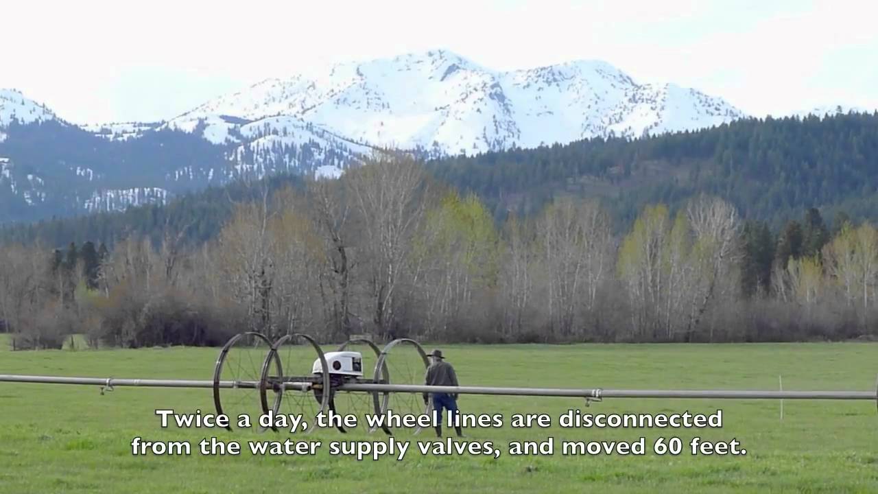 Irrigation Season