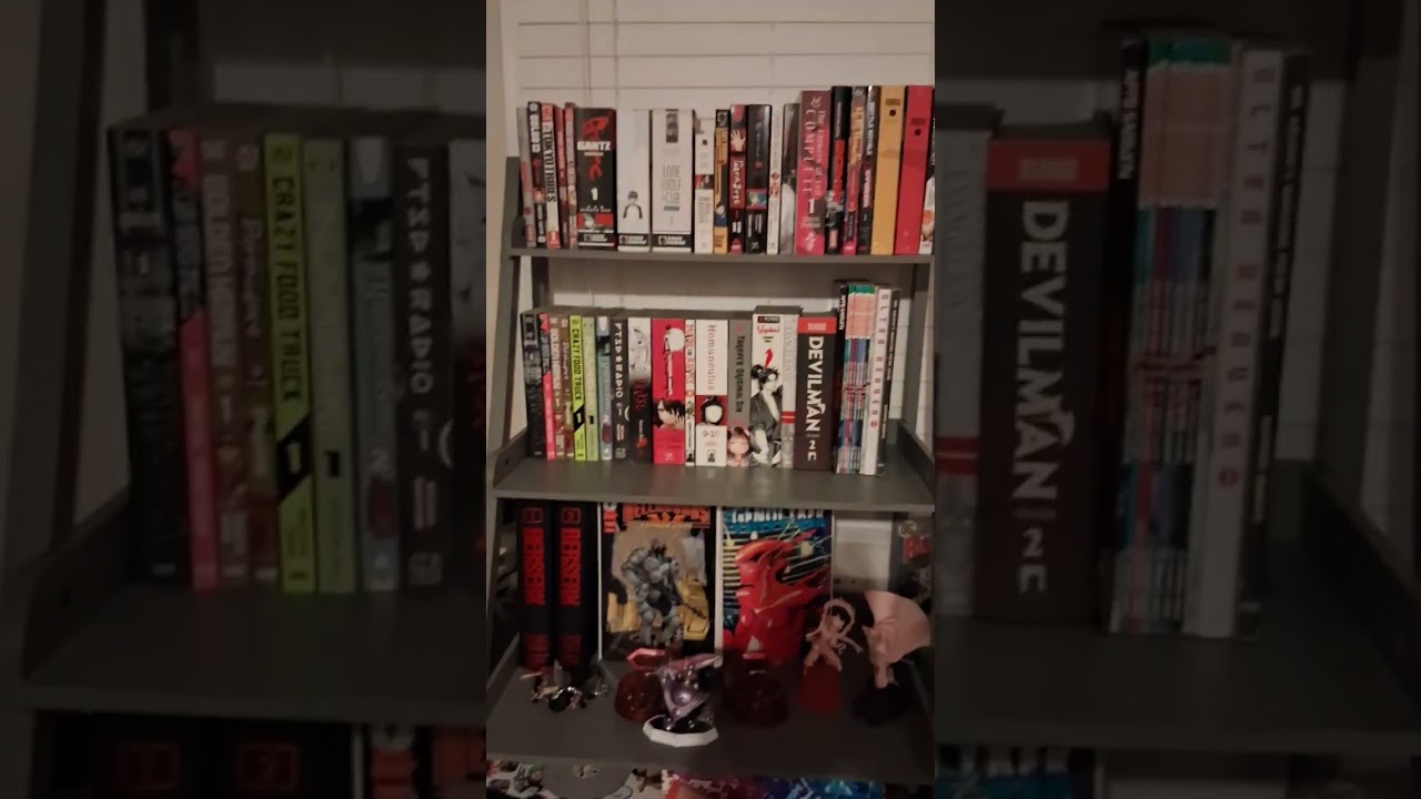 New Manga & Sneak Peek at some CD's I own (Old Video I Forgot to Publish I Guess)