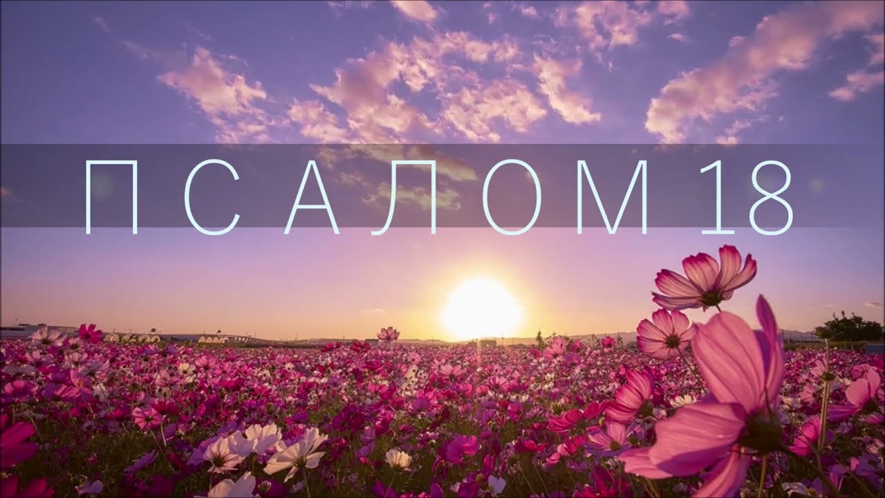 ПСАЛОМ 18/ Небеса проповедуют славу Божию